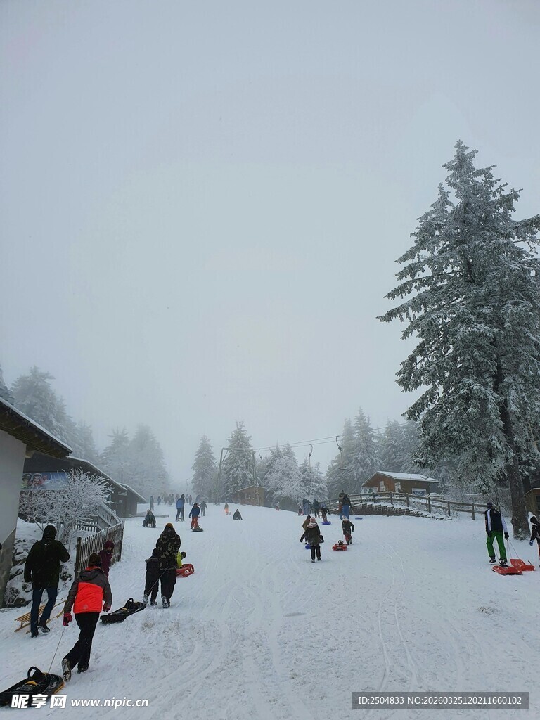 雪地中的欢乐人群