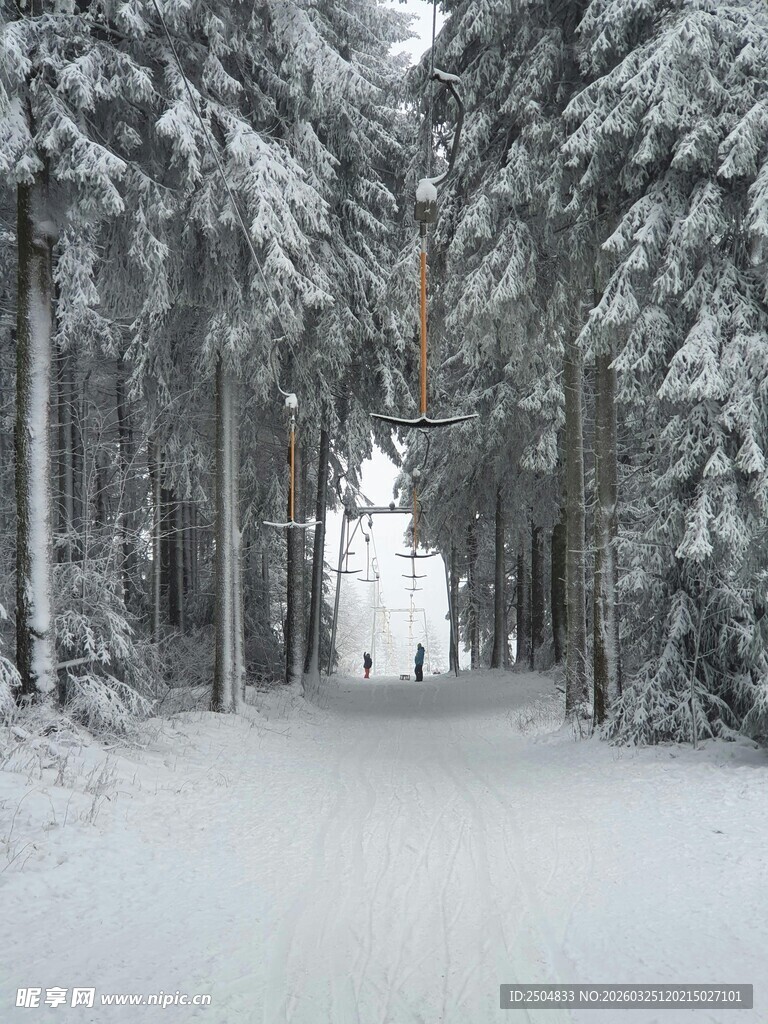 冬日雪林小道美景