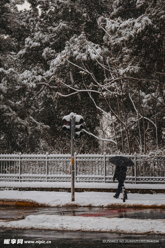 雪中行人撑伞漫步