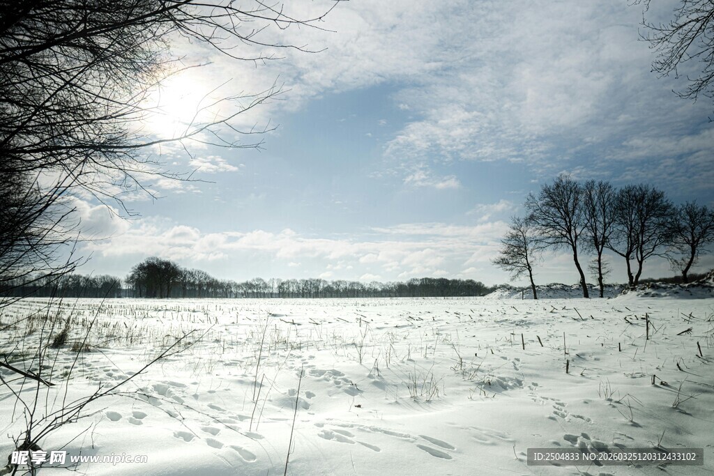 冬日雪野风光