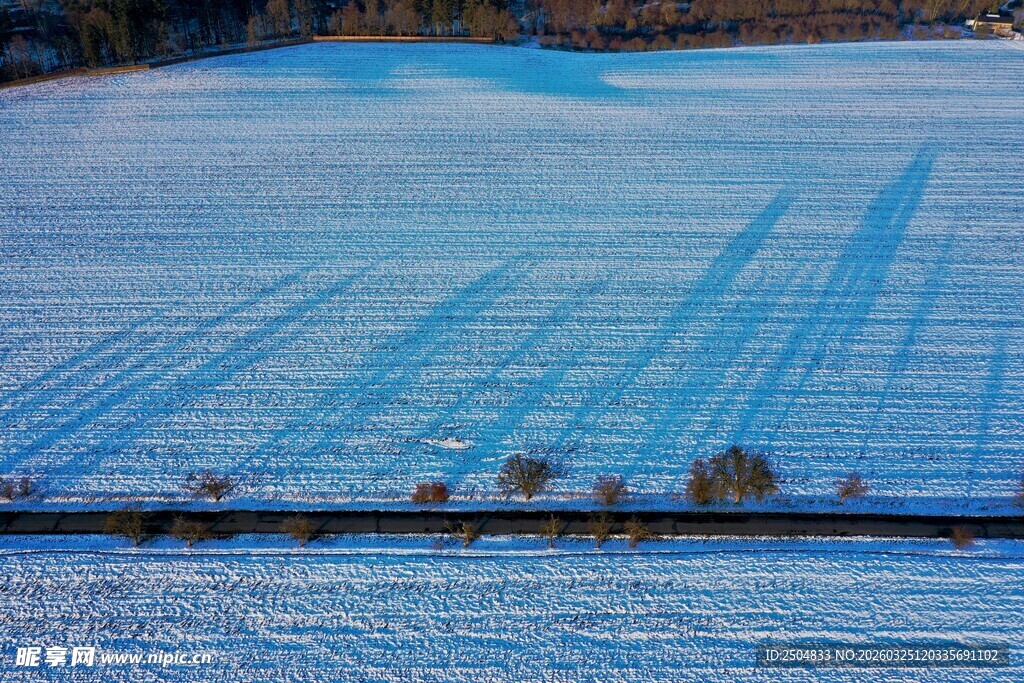 冬日雪地中的整齐痕迹