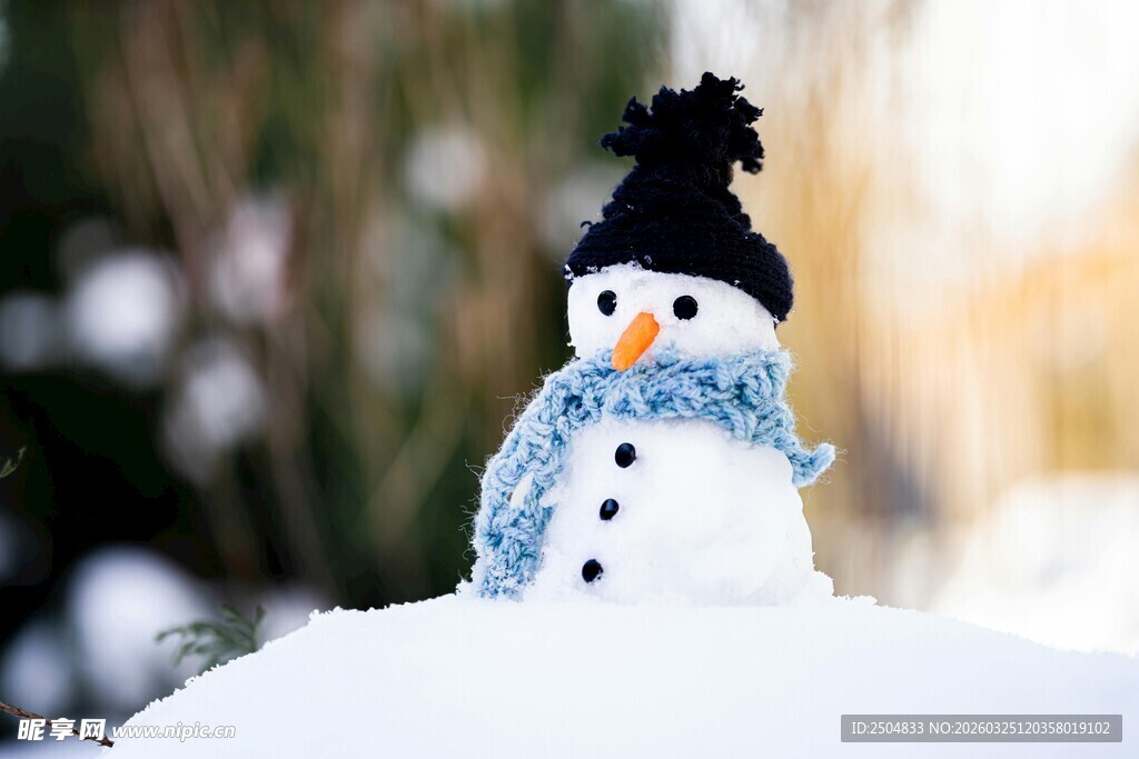 可爱小雪人 冬日小美好