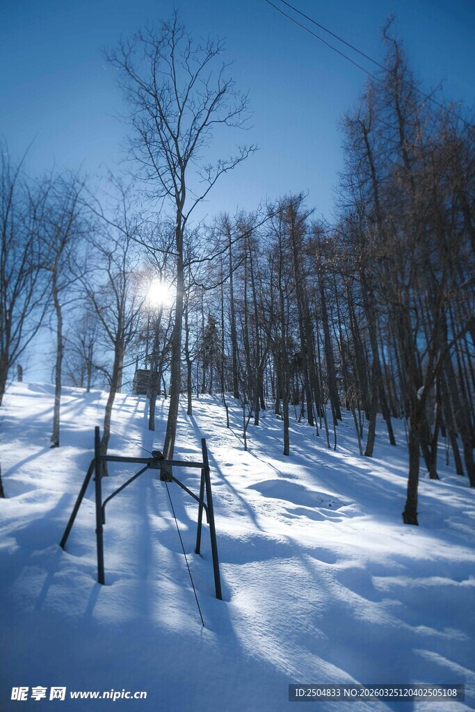 冬日雪林健身场景