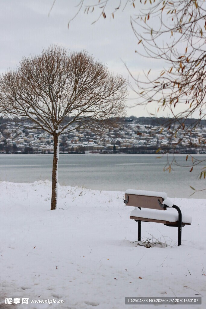雪后湖畔长椅与孤树