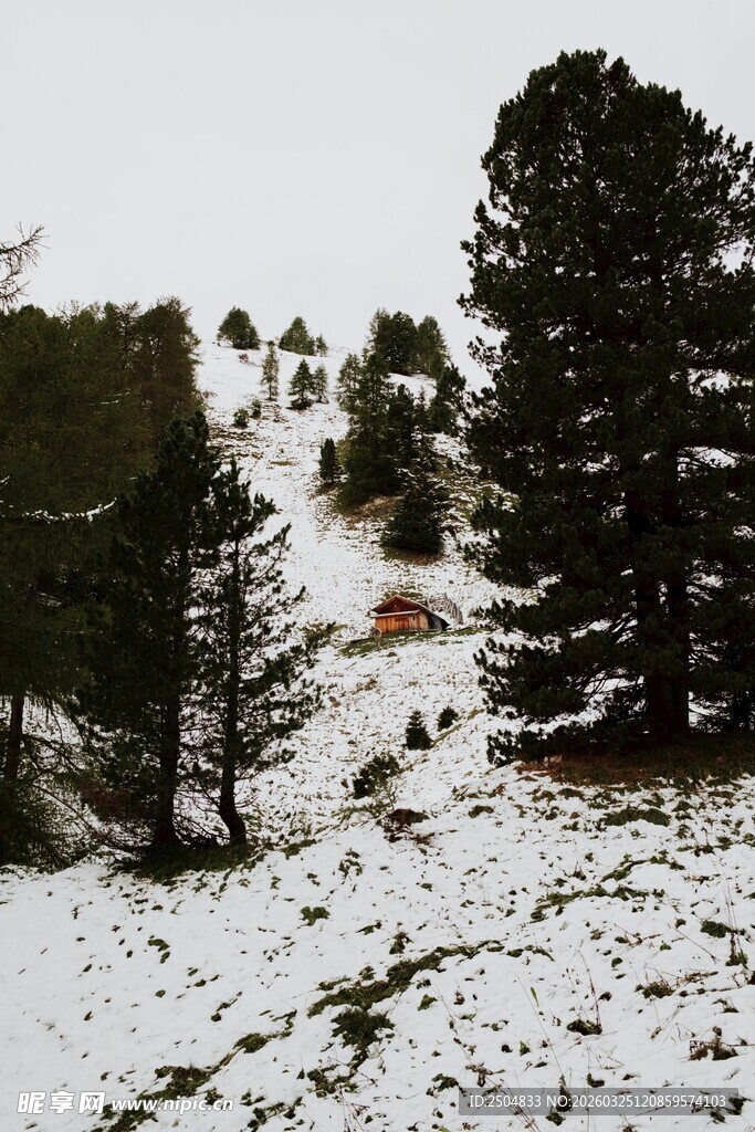 雪覆山林 冬日静谧景致