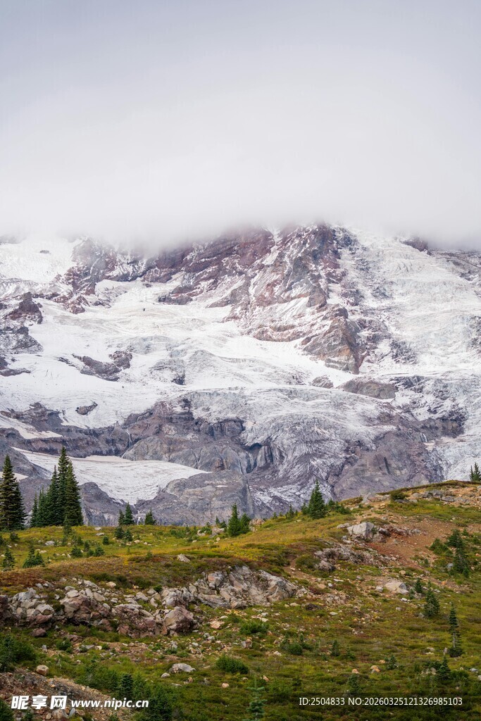 雪山下的葱郁草地景观