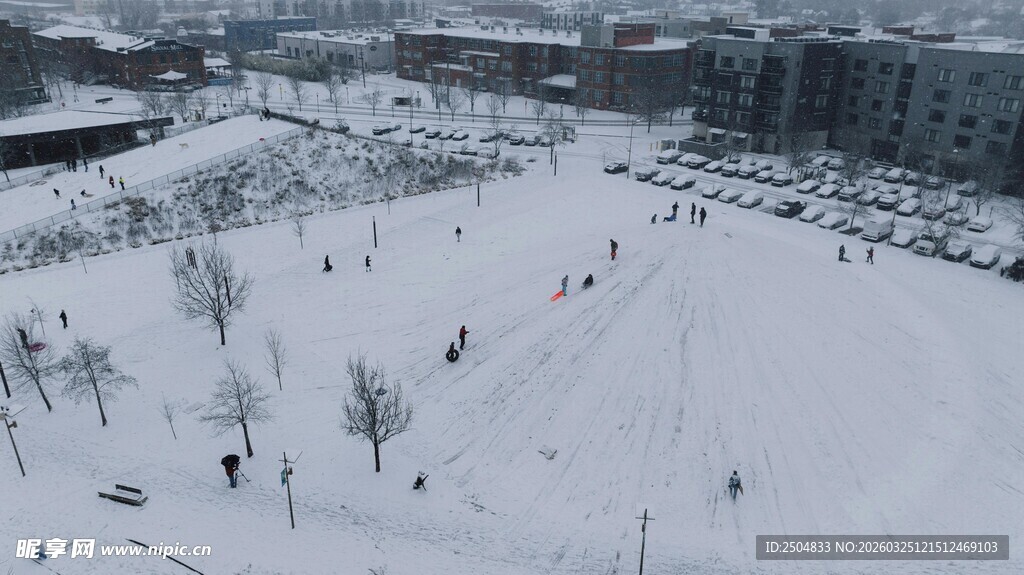 冬日雪景中的开阔场地