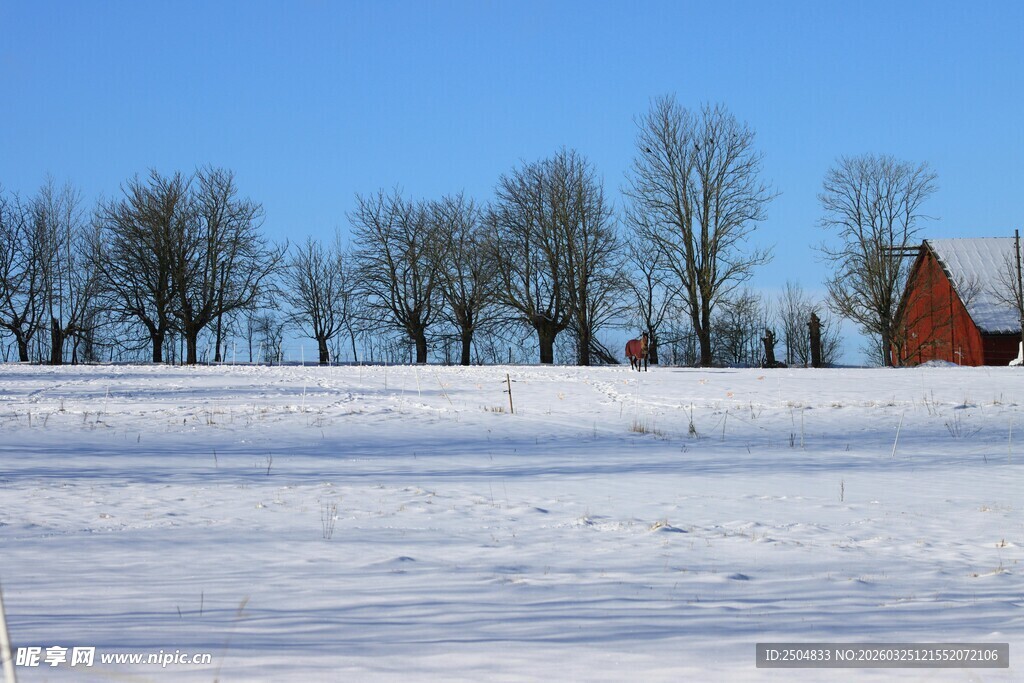 冬日雪野中的红顶小屋