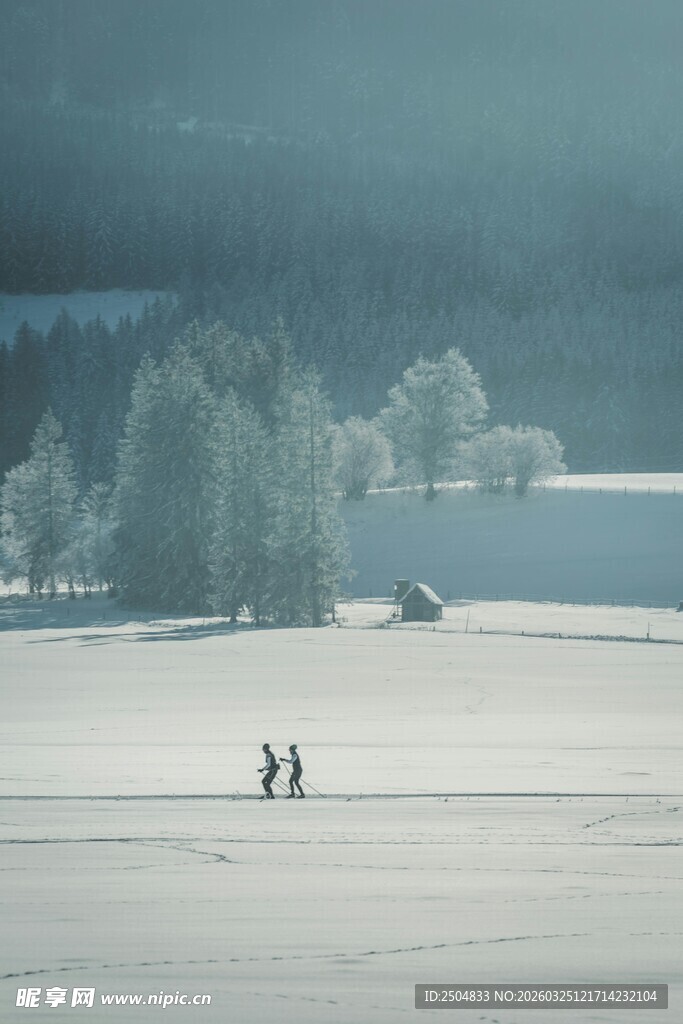 冬日雪野中的三人身影