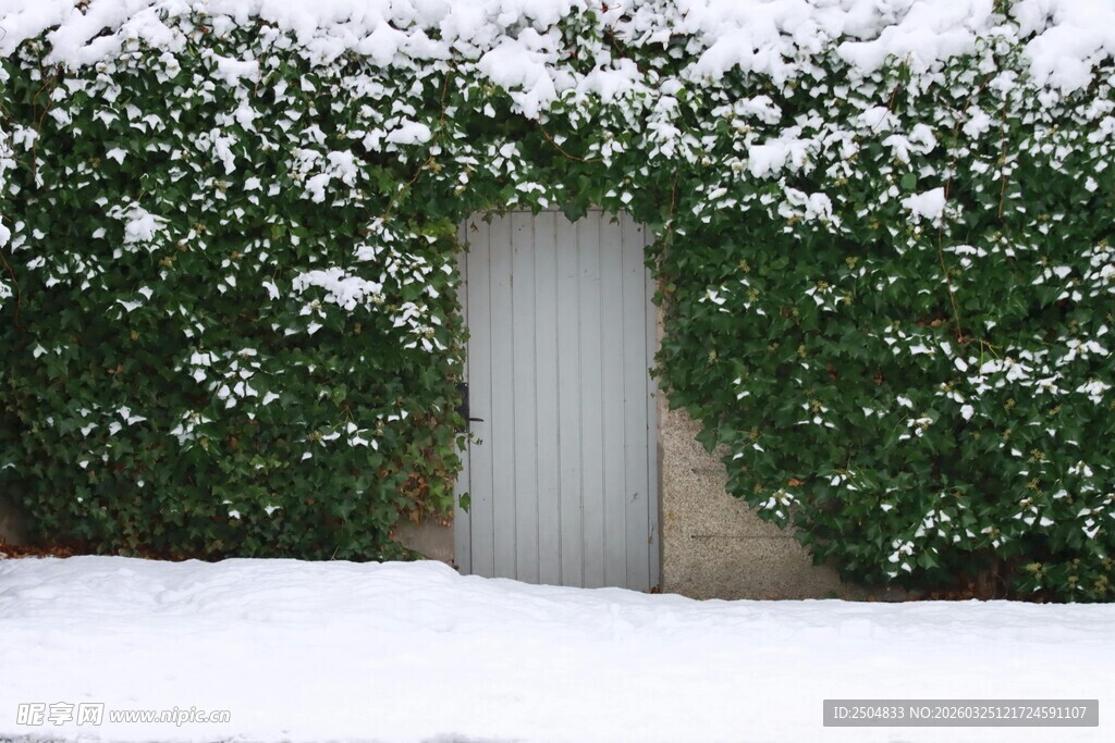 雪覆藤蔓环绕的隐秘之门