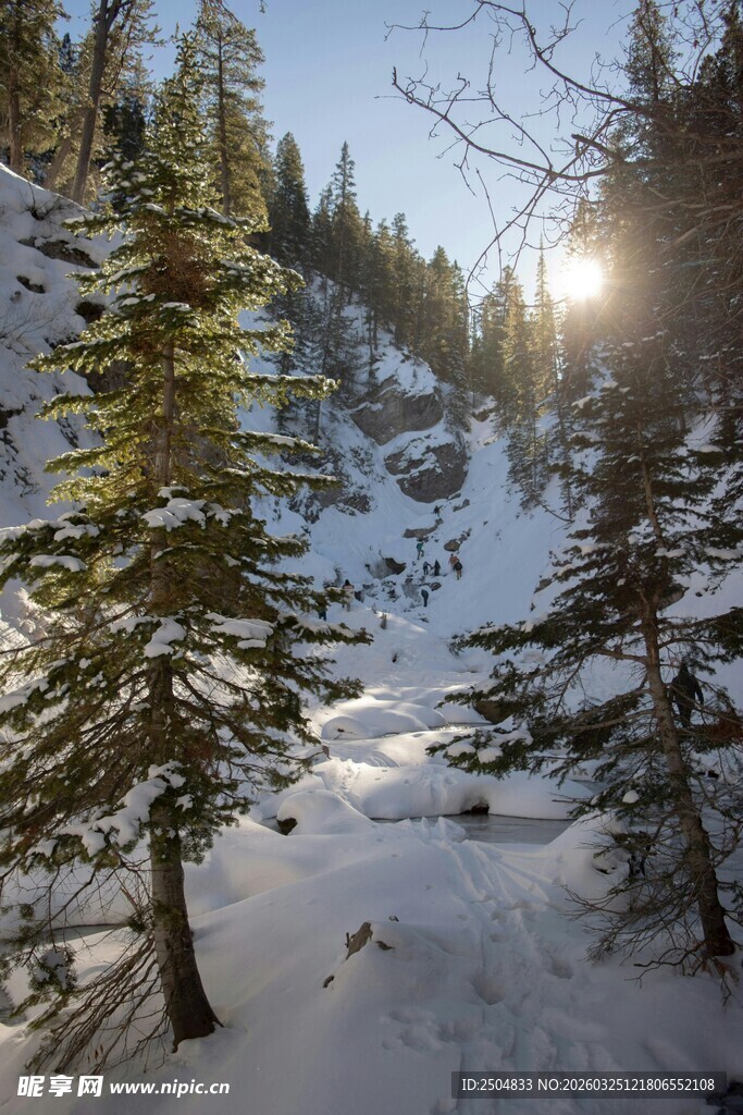 冬日雪林暖阳风景图
