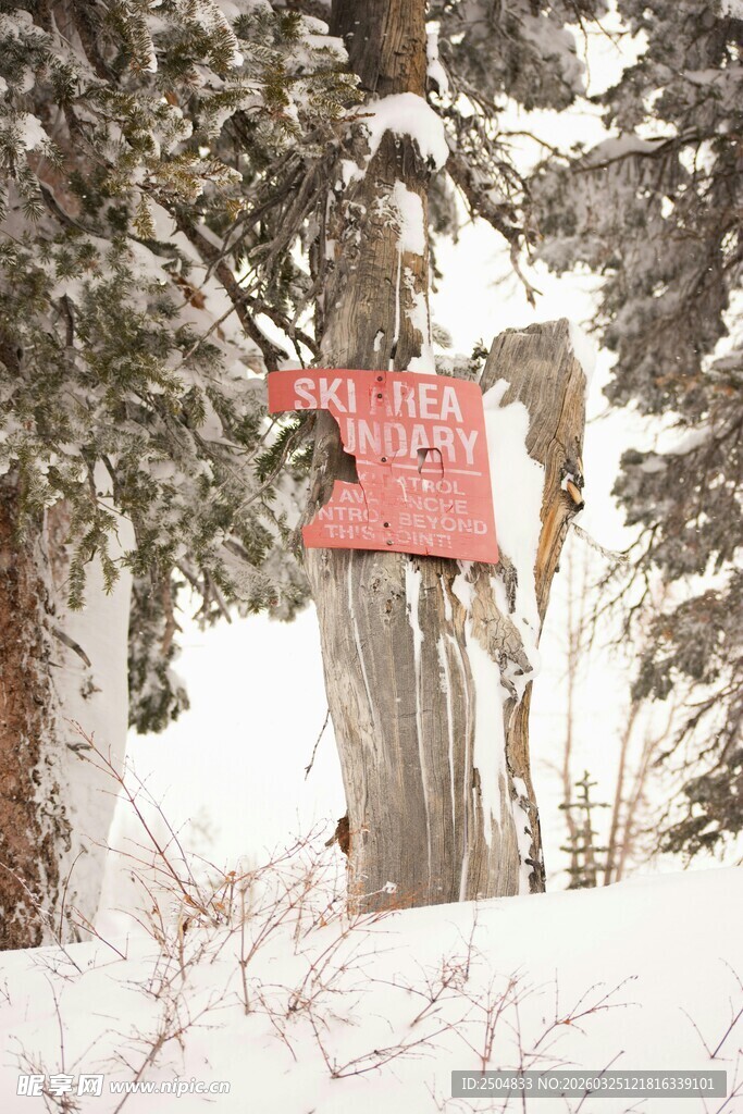 雪林中的红色指示牌