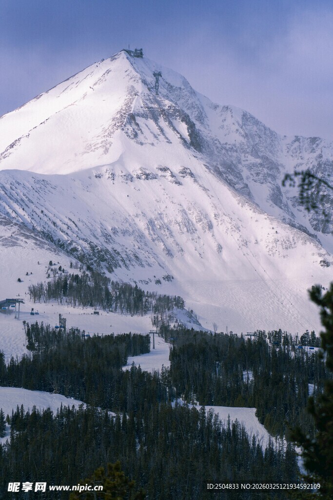 雪山森林壮丽自然景观