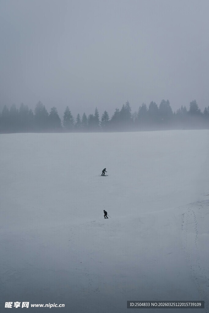 雾中湖面双飞鸟