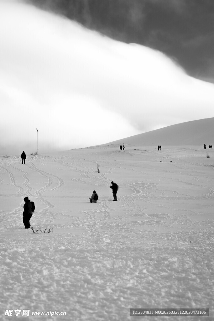 雪地中漫步的人群