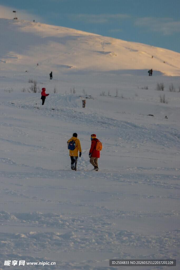 雪地中的滑雪者