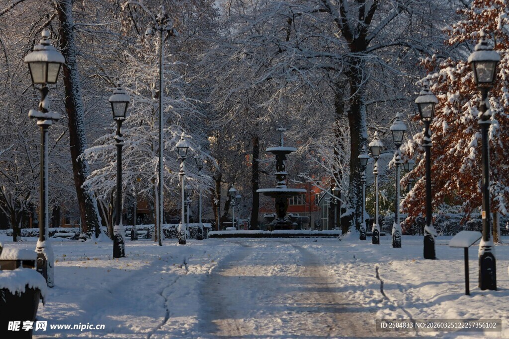 冬日雪后公园静谧美景
