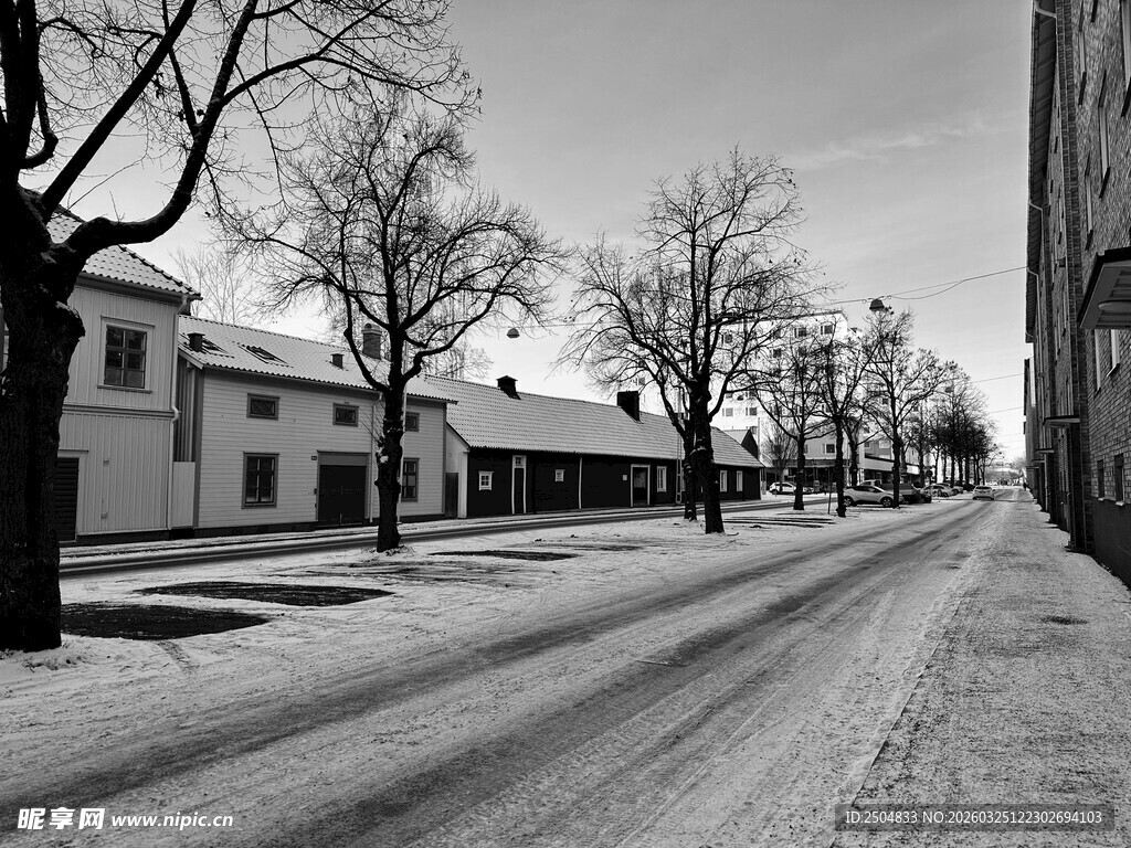冬日雪后寂静街道景象