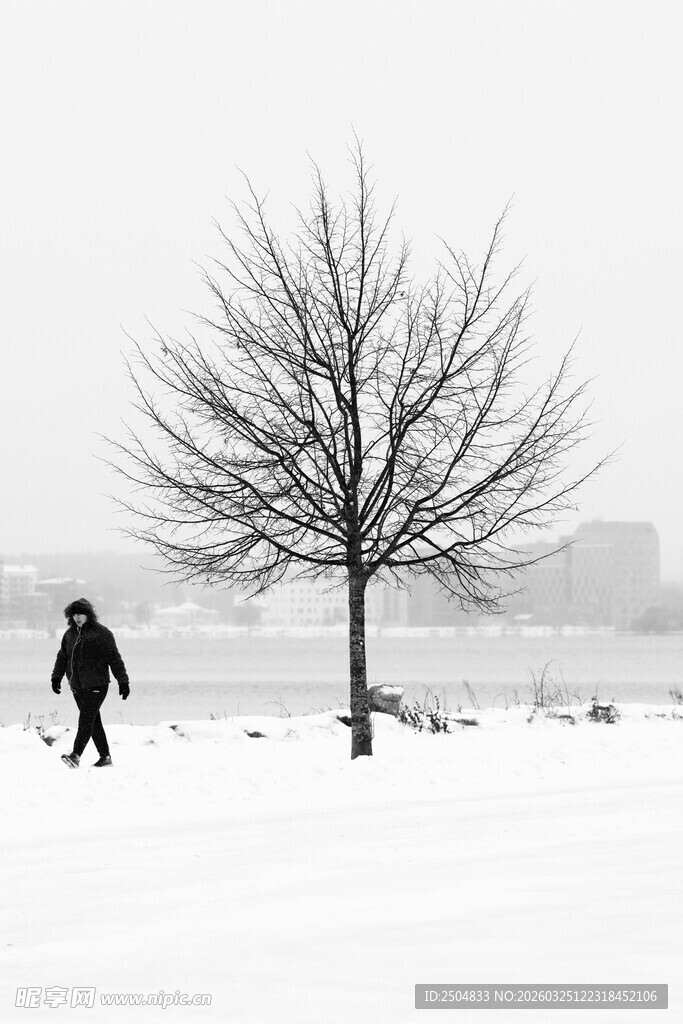 雪地独行的身影与孤树