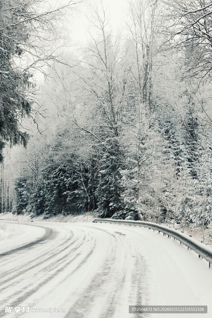 冬日雪覆林间蜿蜒小路
