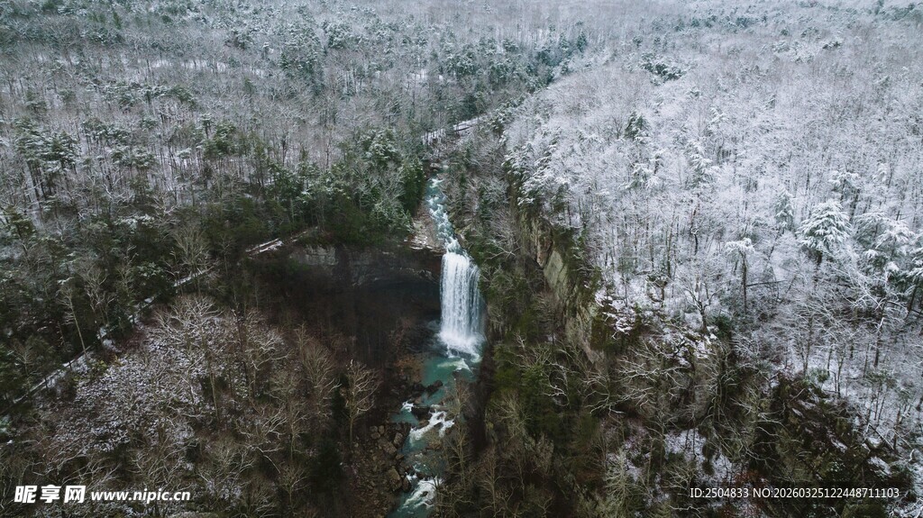 山间溪流穿林而过