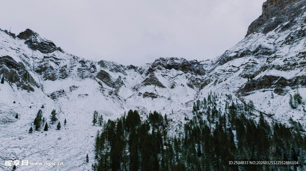 雪山松林壮丽自然景观