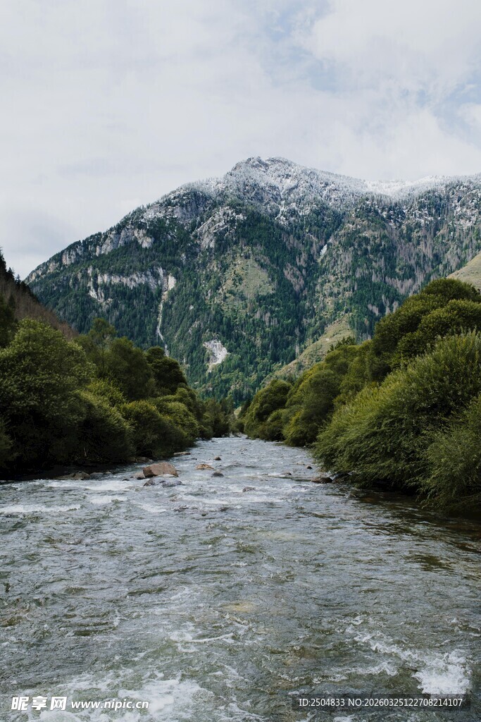 山间溪流伴葱郁山林