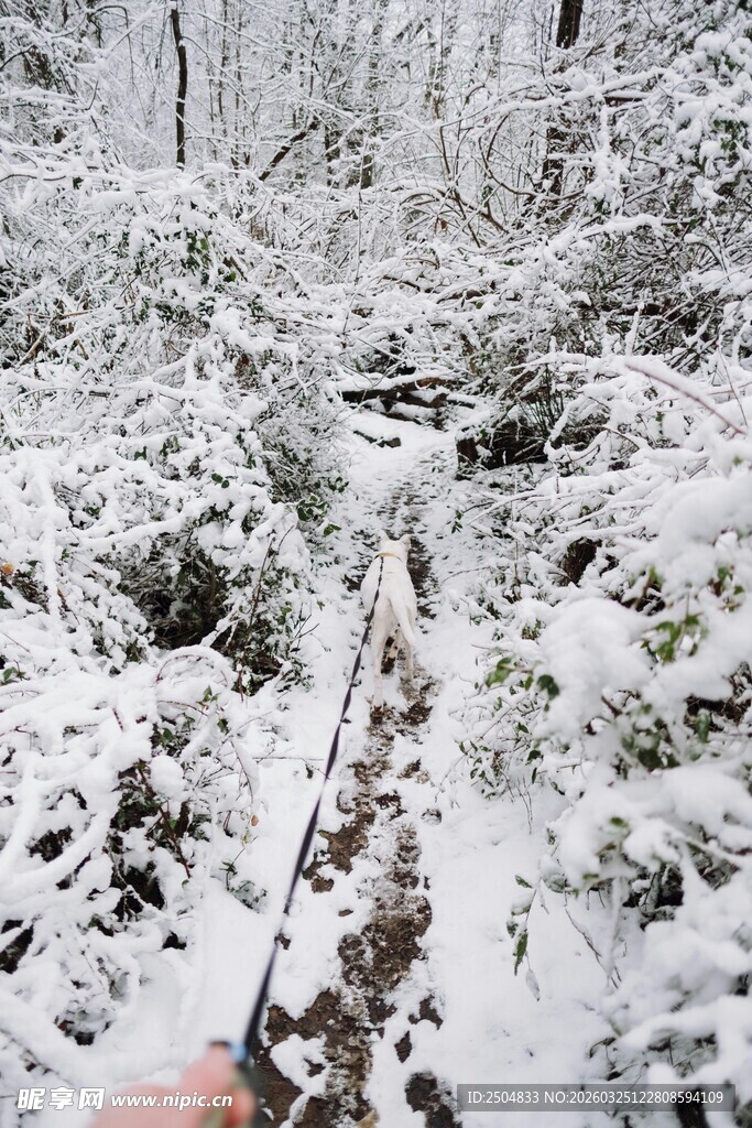 雪地中的徒步小径