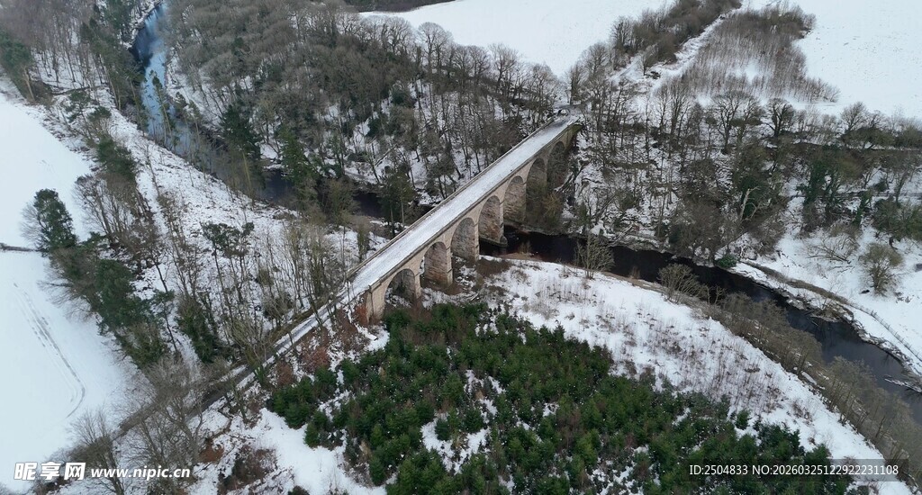 冬日雪覆桥梁与葱郁植被