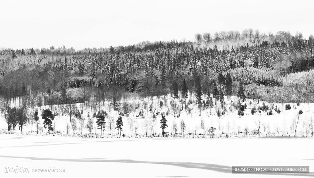 热闹的户外人群场景