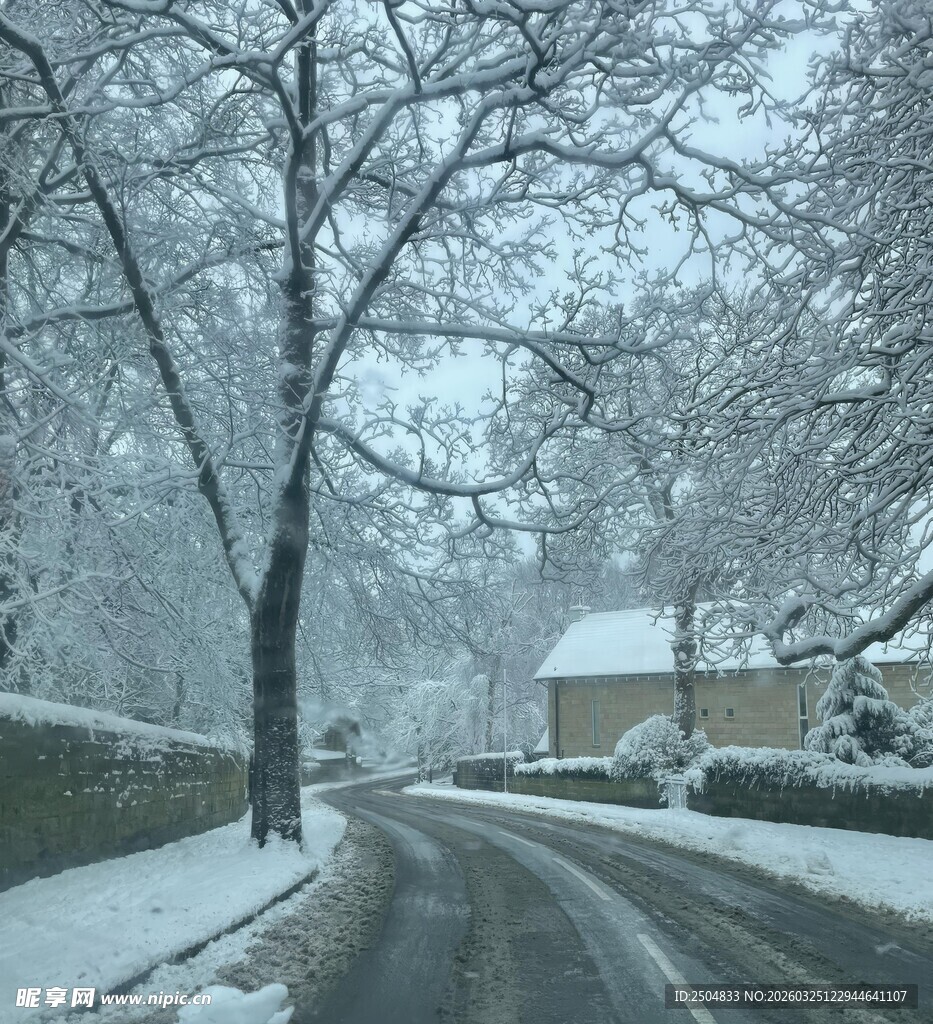 冬日雪景中的宁静乡村道路