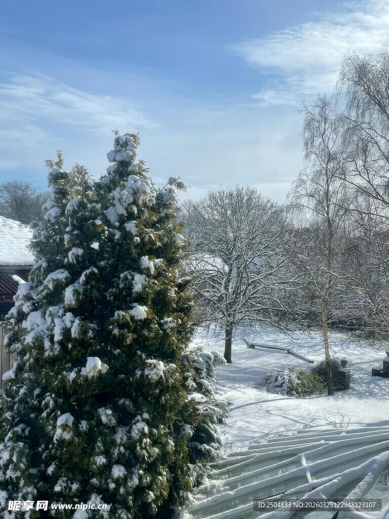 冬日雪景中的树木与屋舍