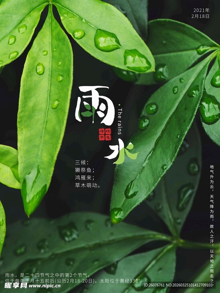 雨水海报 