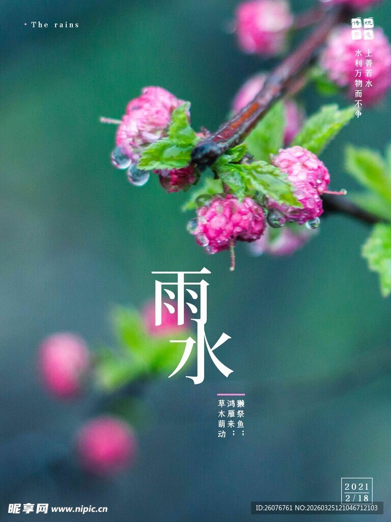 雨水海报 