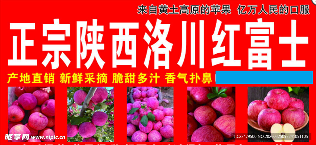 正宗陕西洛川红富士苹果