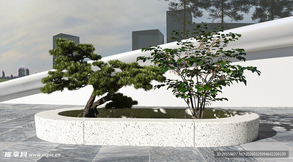 户外圆形花坛中的绿植