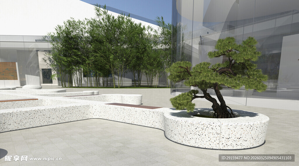 庭院中的精致盆栽景观