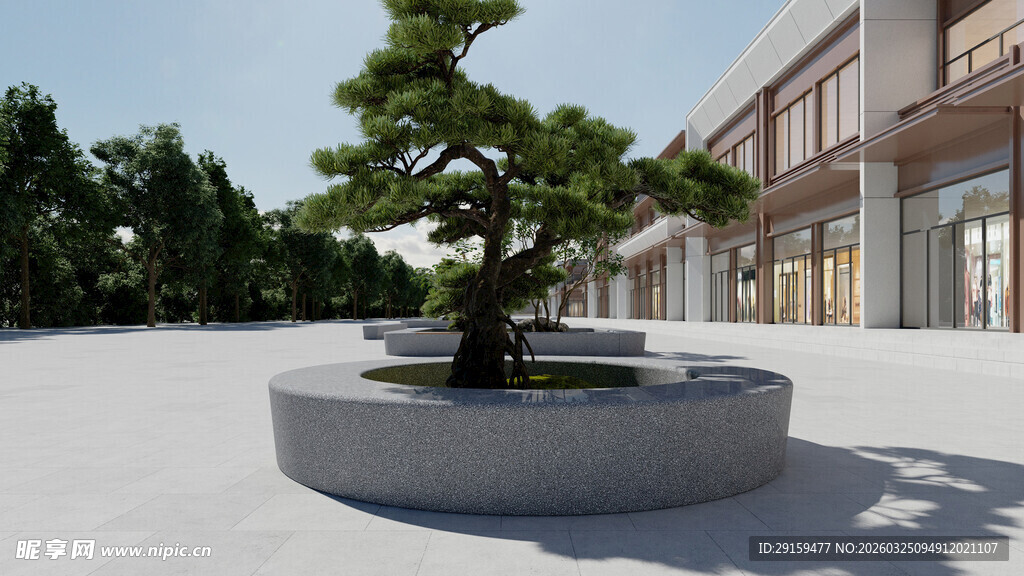 庭院中的精致盆栽景观