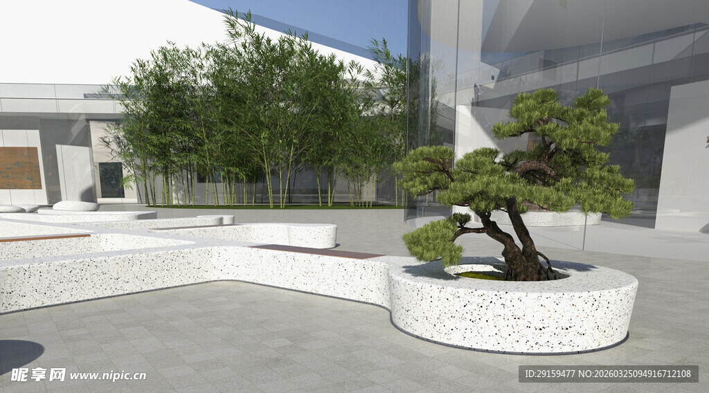 庭院中的精致盆景景观