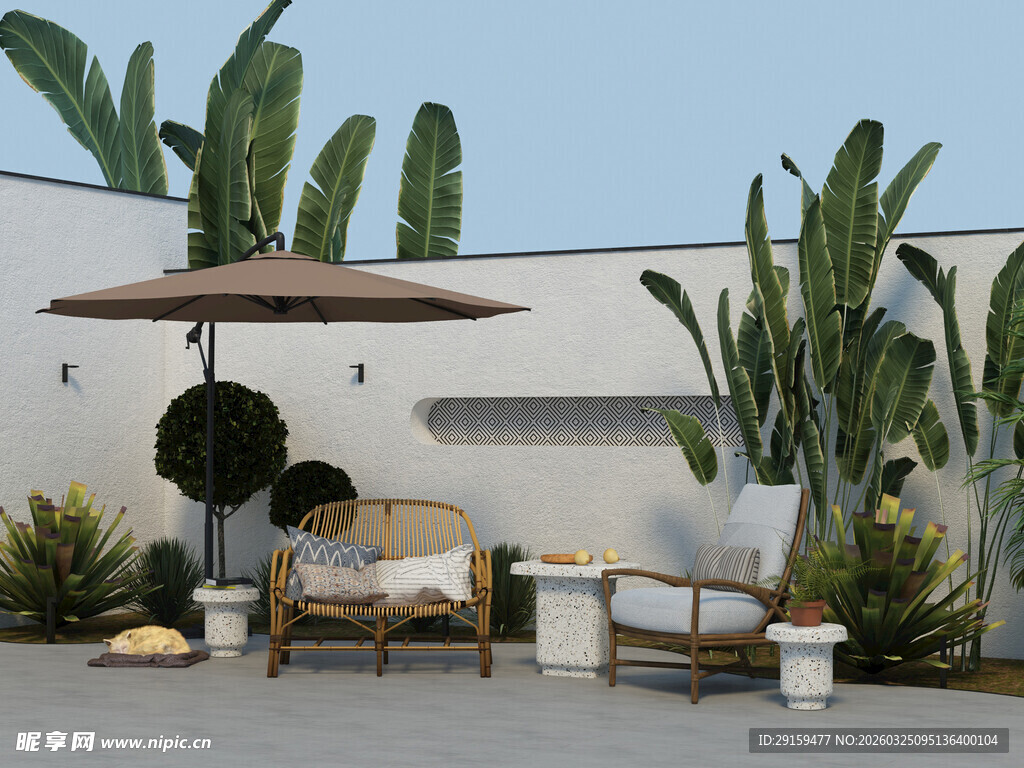 户外仙人掌旁休闲桌椅场景