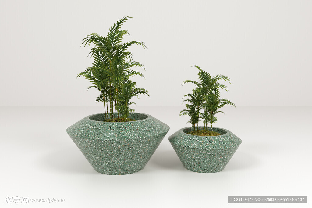 绿色几何花盆中的绿植