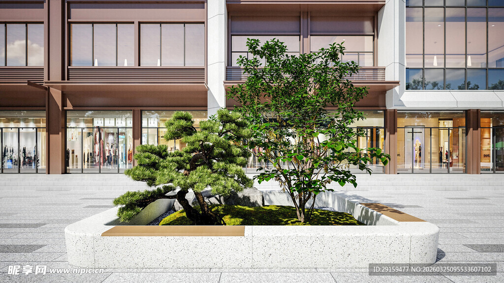 城市广场中的绿植景观