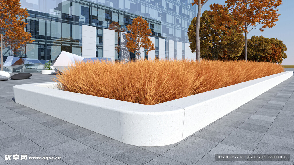 城市户外白色花池观赏草景观