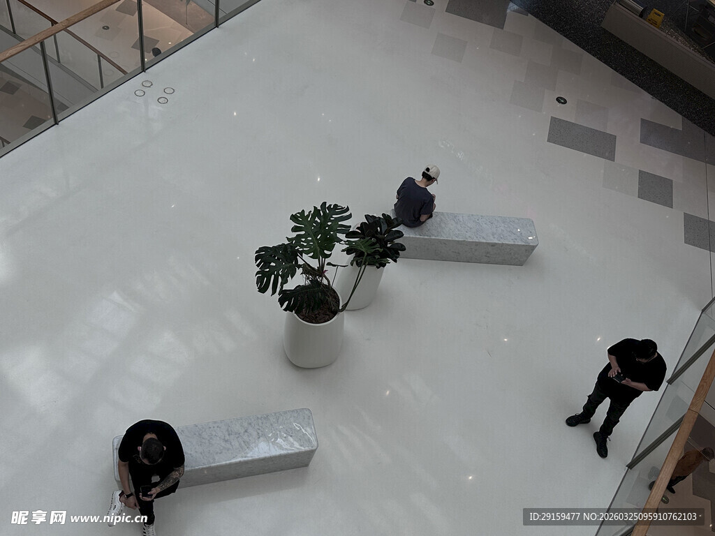 室内白色空间与绿植摆件