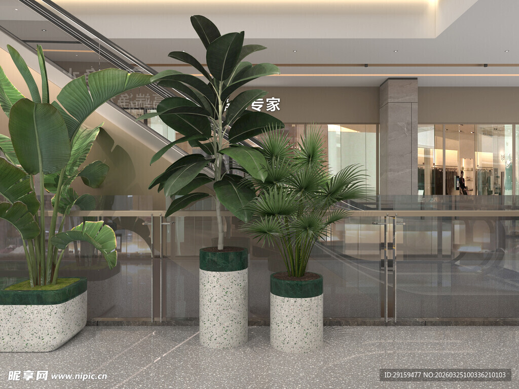 室内绿植装点优雅空间