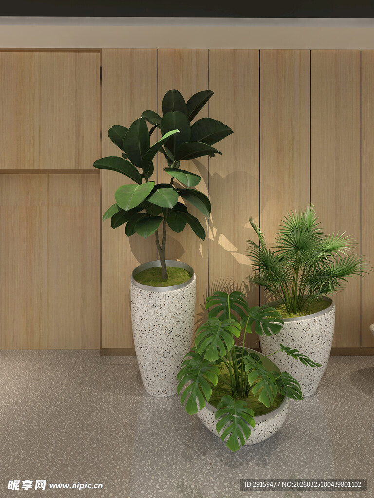 室内绿植盆栽组合展示