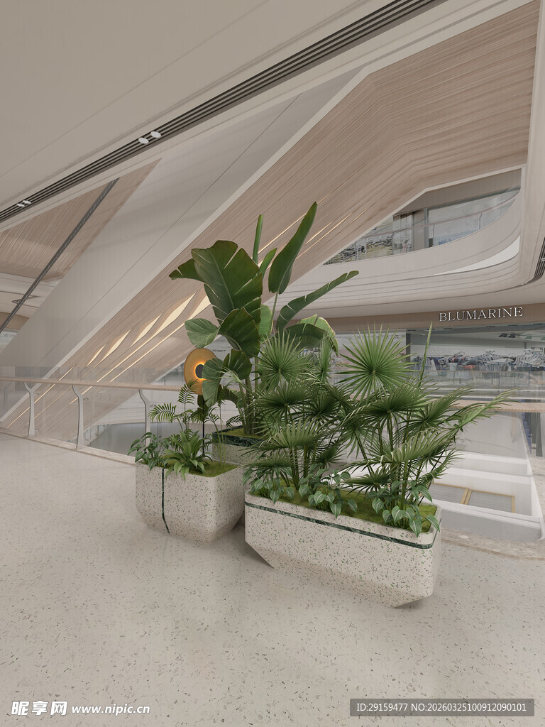 室内绿植装饰场景