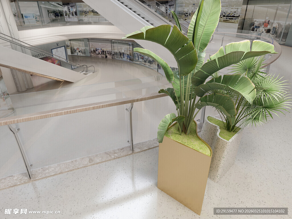 室内绿植装饰花盆展示