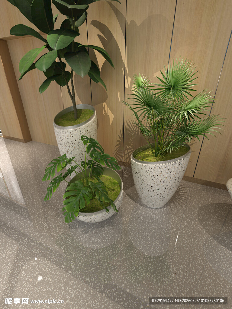 室内绿植盆栽组合展示