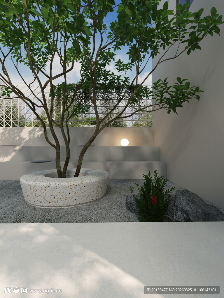 庭院中的简约盆栽景观